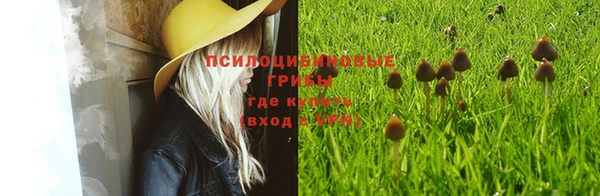 Альфа ПВП Абаза