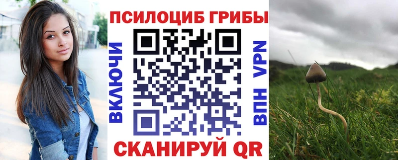 Галлюциногенные грибы Psilocybe ОМГ ОМГ онион Красноуфимск где продают наркотики